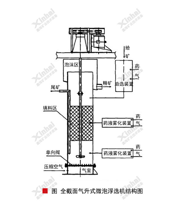 Flotation-Cell-1.jpg