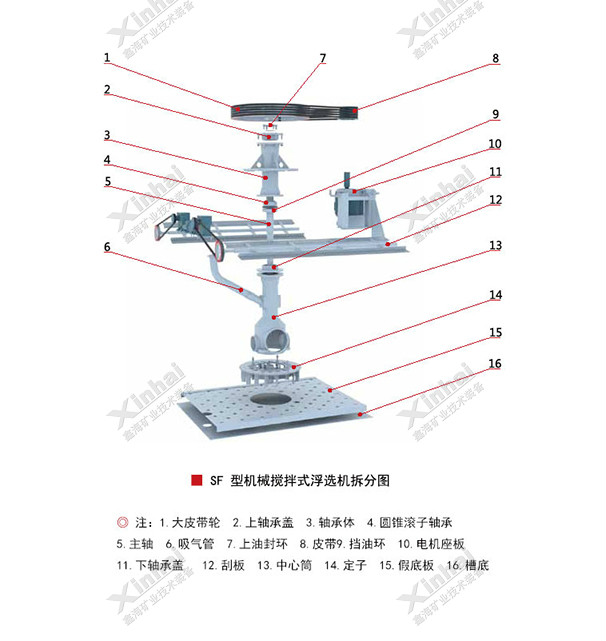 Separation-of-SF-Flotation-Cell-1.jpg
